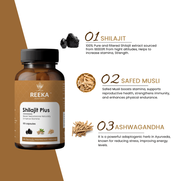 Shilajit capsule